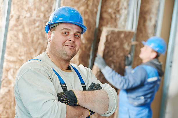 Best Insulation Maintenance and Repair in Butler, MO