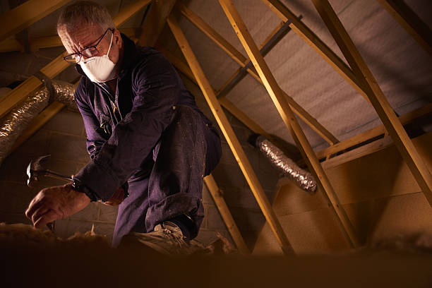 Best Commercial Insulation in Butler, MO